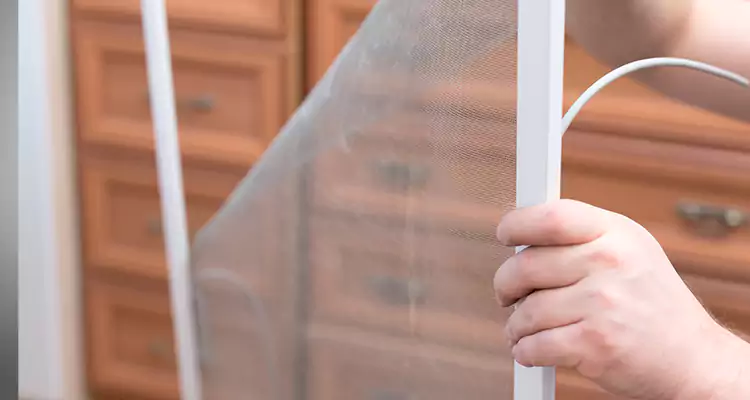 Privacy Mesh Screen Door Installation in Fort Lauderdale, FL